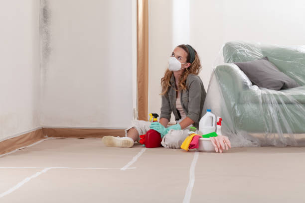 Reliable Mold Remediation contractor in Lawrenceville, IL by WQB Mold Removal